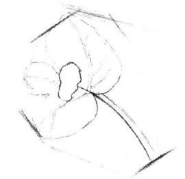 清凉薄荷叶素描画法步骤02