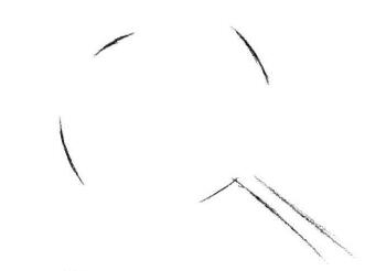 棉花素描画法步骤01