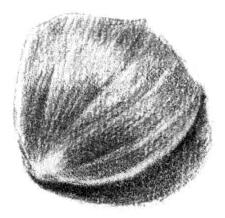 素描绘画的流程03