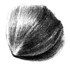 素描绘画的流程04