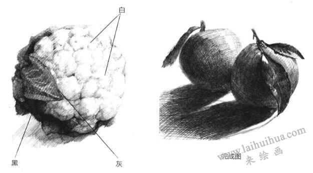 素描绘画的表现方式