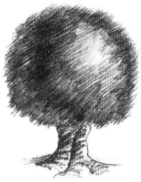 素描线条的表现技法02