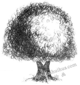 素描线条的表现技法03