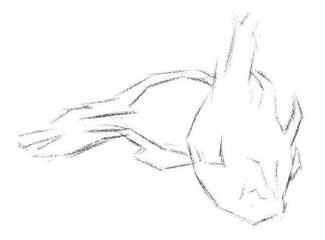 火龙果素描画法步骤01