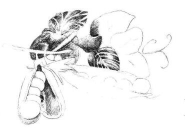 豌豆素描画法步骤03