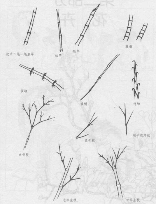 白描竹竿与竹梢的画法