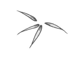 白描竹叶的画法