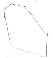 向日葵素描画法步骤01