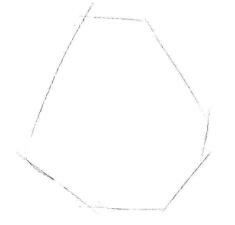红掌素描画法步骤01