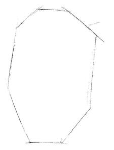 蝴蝶兰素描画法步骤01
