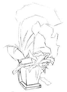 蝴蝶兰素描画法步骤02