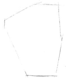 小盆栽水仙花素描画法步骤01