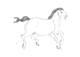 马的白描作品图片