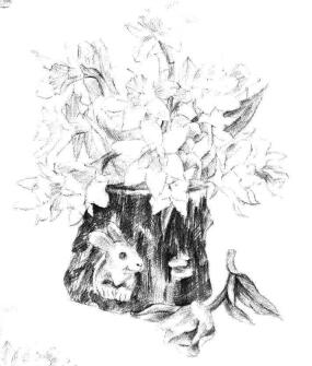 小盆栽木盆花卉素描画法步骤09