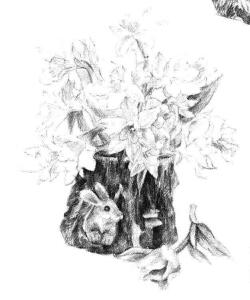 小盆栽木盆花卉素描画法步骤11