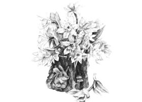 木盆花卉素描画法