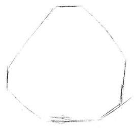 小盆栽水浮莲素描画法步骤01