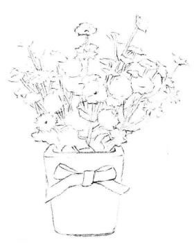 小盆栽香菊素描画法步骤04