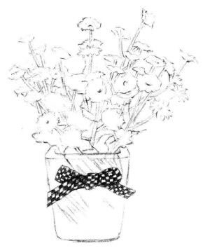 小盆栽香菊素描画法步骤06