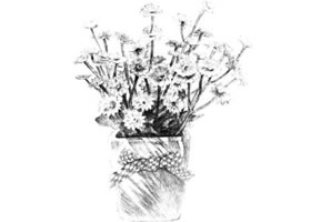 香菊素描画法