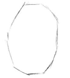 小盆栽芦荟素描画法步骤01