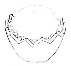 小盆栽仙人球素描画法步骤03