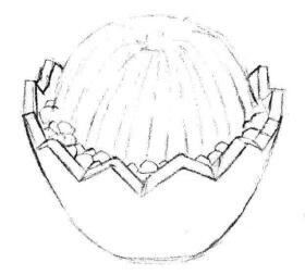 小盆栽仙人球素描画法步骤04