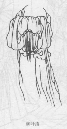 柳叶描，十八描图例