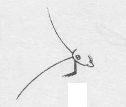 白描蝈蝈（蛐蛐）的画法步骤与技巧01