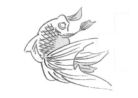 金鱼白描作品图片