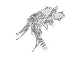 白描鲤鱼作品图片