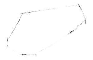 红玉兰素描画法步骤01