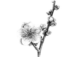 梅花素描画法