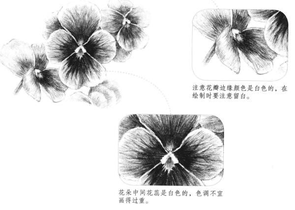 三色花素描画法