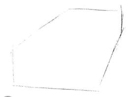 三色花素描画法步骤01