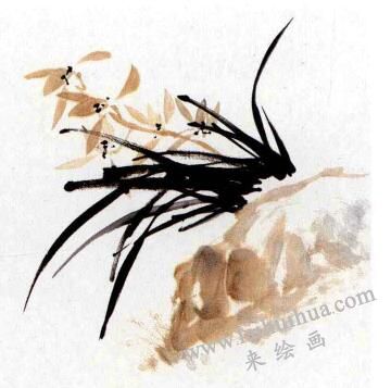 兰花的画法范画画法步骤03