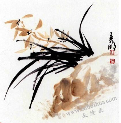 兰花的画法范画画法步骤04