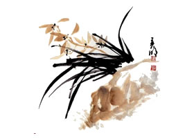 兰花的画法范画画法步骤（一）
