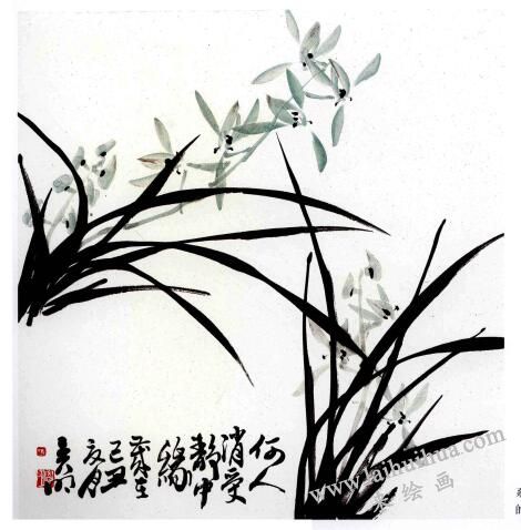 兰花的画法范画画法步骤04