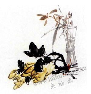 兰花的画法范画画法步骤03