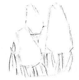 葡萄风信子素描画法步骤01