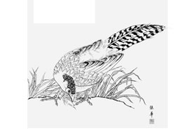 白描锦鸡作品图片