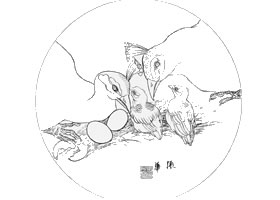 白描孔雀作品图片