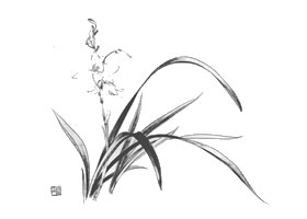 俞致贞白描兰花作品图片