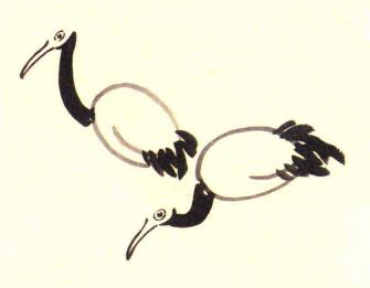丹顶鹤儿童水墨画画法步骤03