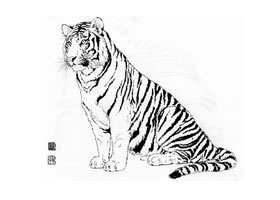 坐姿老虎白描作品图片