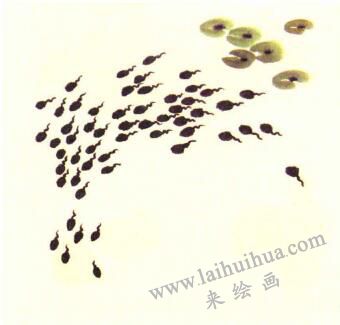小蝌蚪儿童水墨画画法步骤03