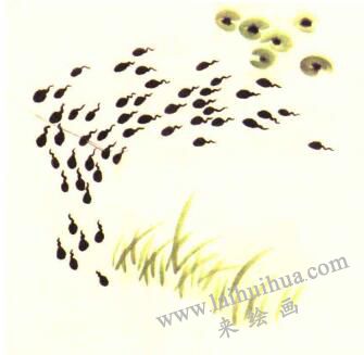 小蝌蚪儿童水墨画画法步骤04