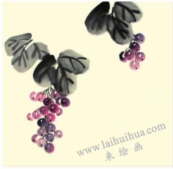 葡萄儿童水墨画画法步骤03