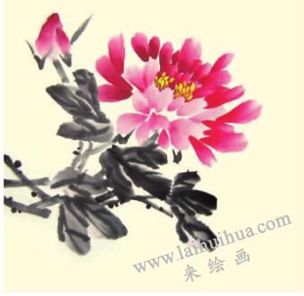 牡丹儿童水墨画画法步骤04